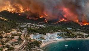 Europe is burning, and fires are becoming an economic problem